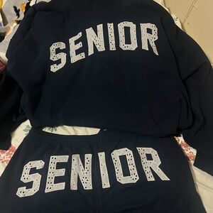 Hollister Navy Sweatshirt